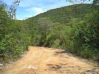 La "jungle" de Koh Samet : chemin de terre entre Wong Duan et Phrao