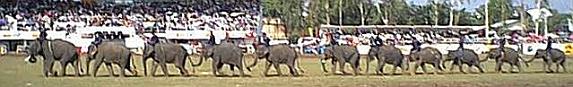 l'arrivée des éléphants, de leur trompe, il tiennent la queue de l'éléphant précédent